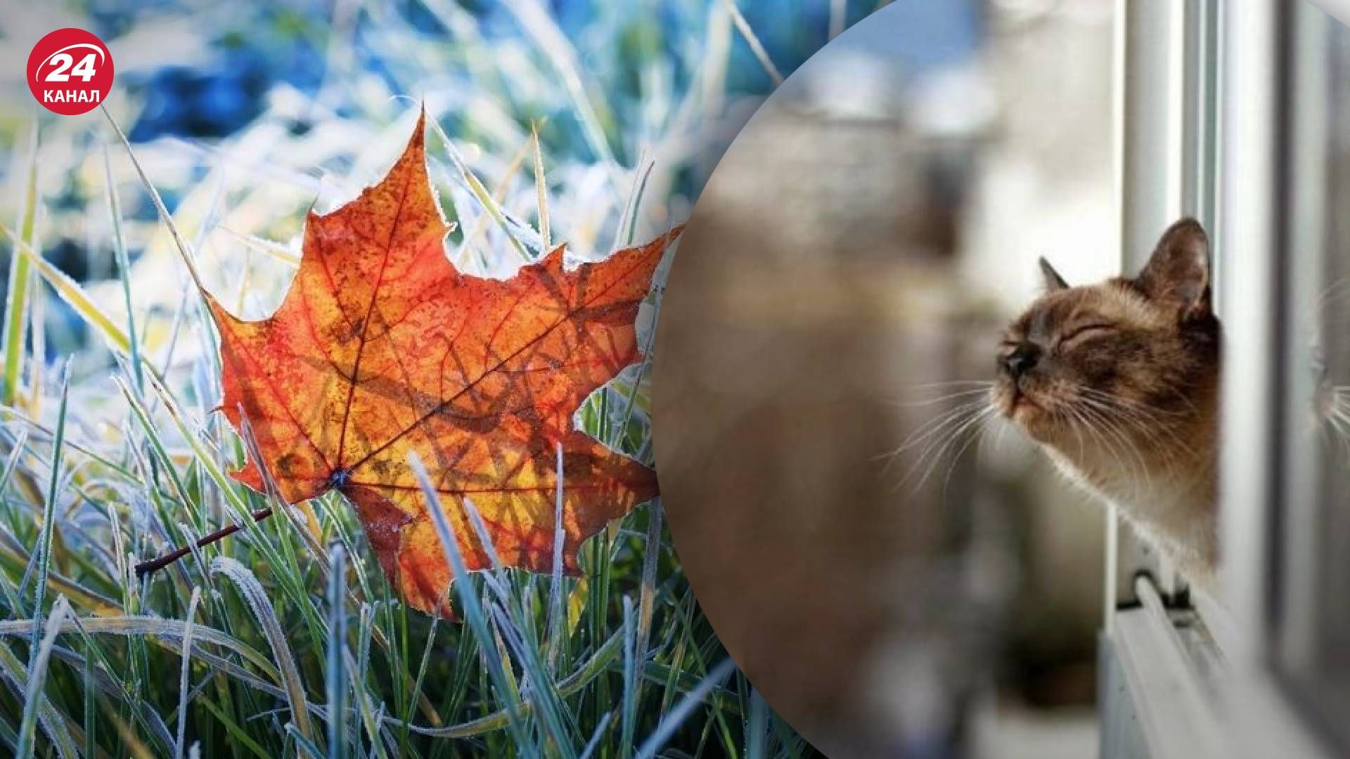 Погода в Украине 25 сентября - что прогнозируют синоптики Погода в Украине 25 сентября - что прогнозируют синоптики