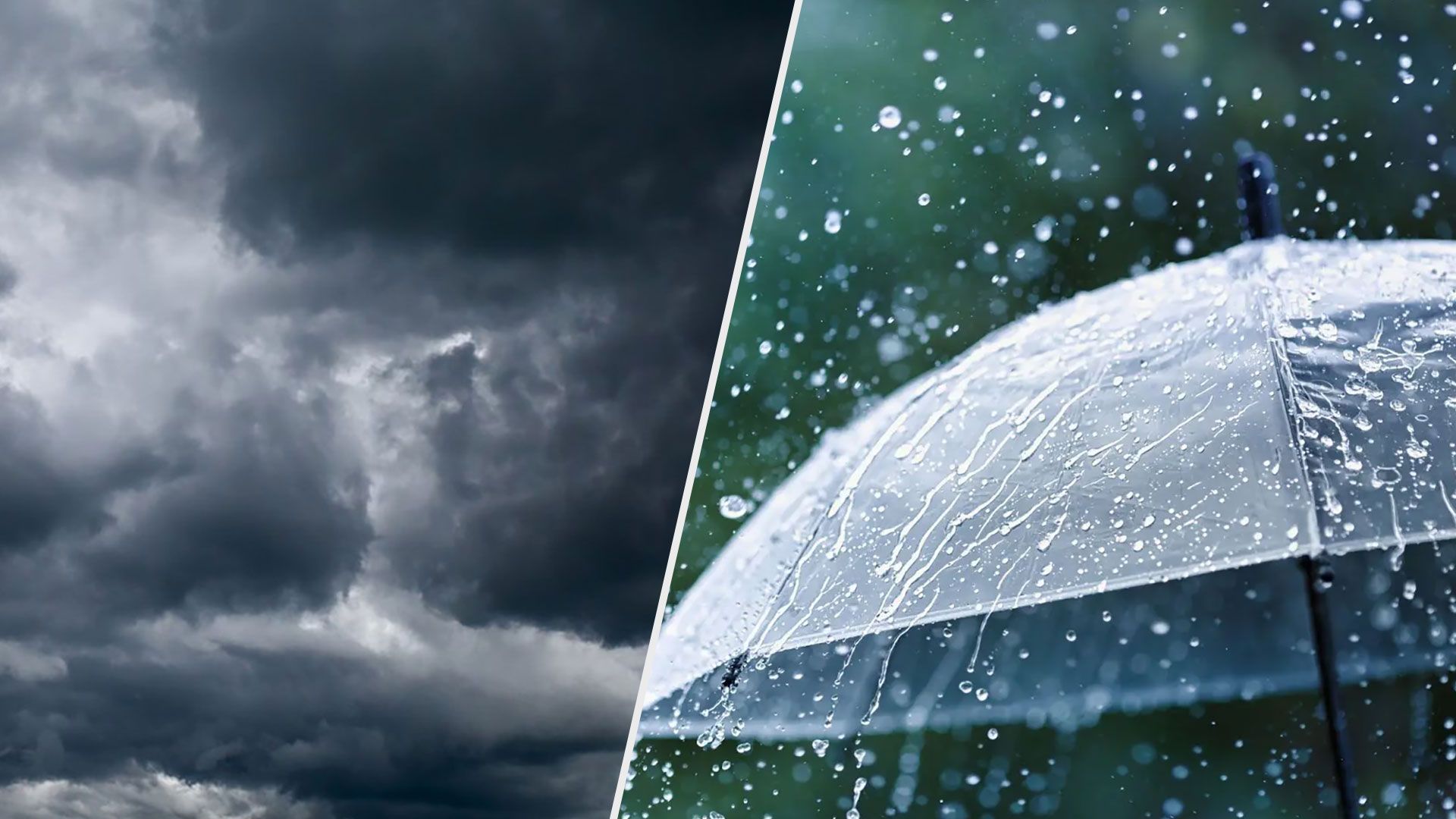 Какая погода будет в Украине 26 сентября - прогноз погоды в Киеве, Львове, Одессе, Днепре - 24 Канал Какая погода будет в Украине 26 сентября - прогноз погоды в Киеве, Львове, Одессе, Днепре - 24 Канал