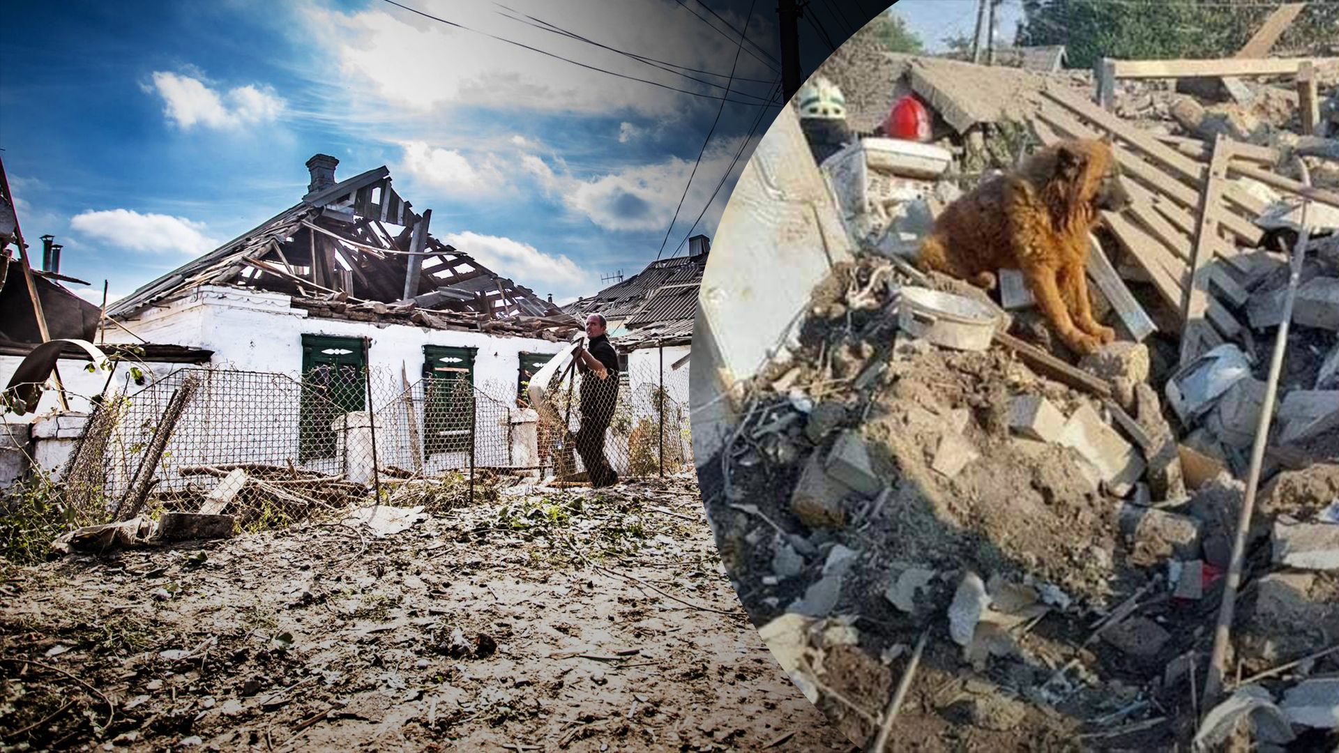 Оккупанты 29 сентября 2022 года ударили по Днепру – собака Крым на руинах дома