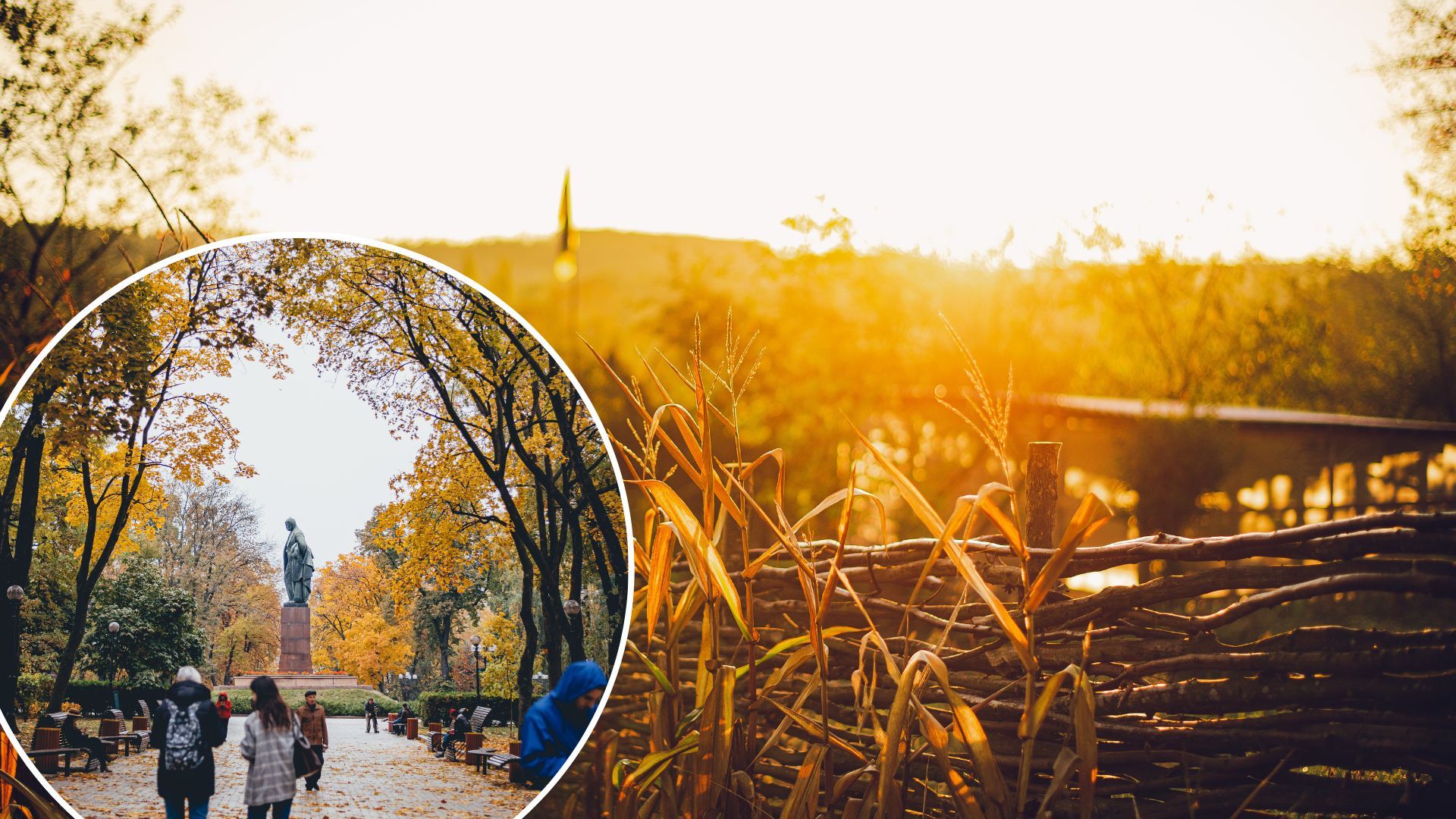 Погода в Україні - в яких областях у перший тиждень жовтня обіцяють ідеальну погоду Погода в Україні - в яких областях у перший тиждень жовтня обіцяють ідеальну погоду