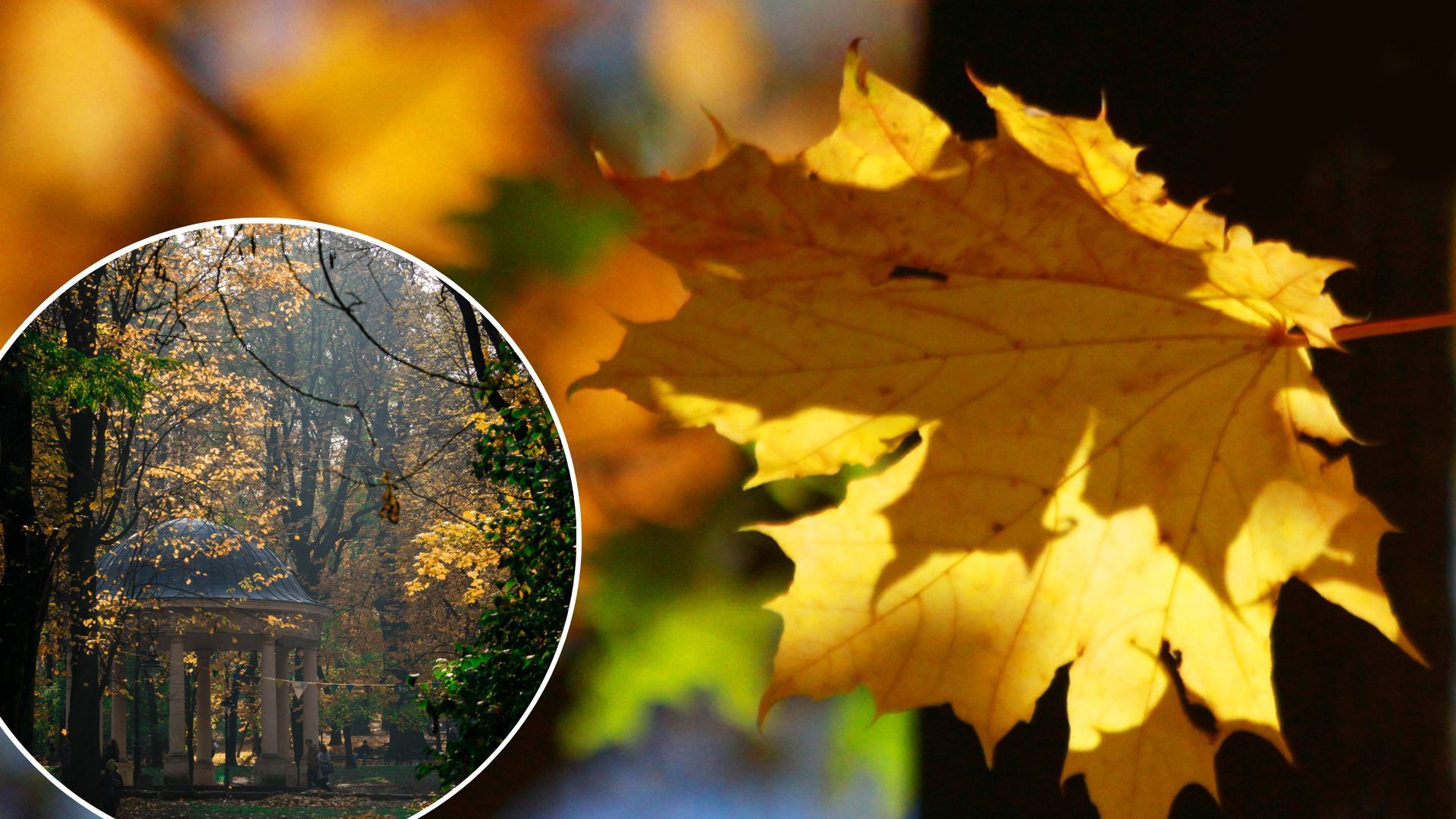 Погода в Украине - на Западе наконец перестанет дождь и наступит затяжной сухой период Погода в Украине - на Западе наконец перестанет дождь и наступит затяжной сухой период