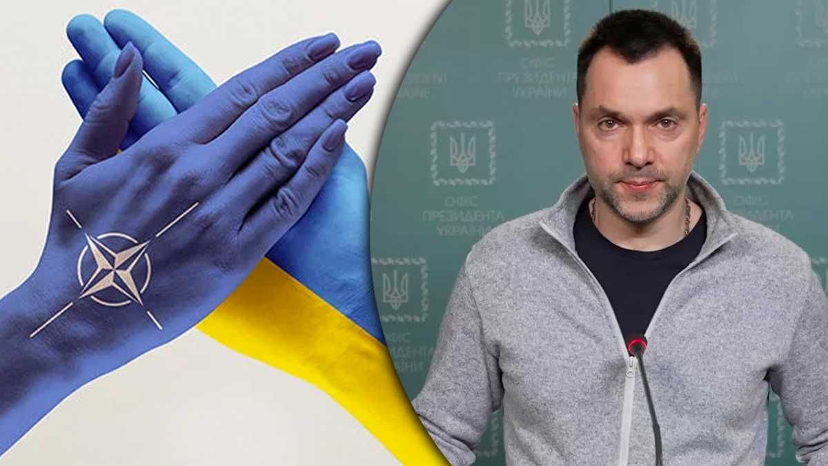 Арестович о вступлении Украины в НАТО