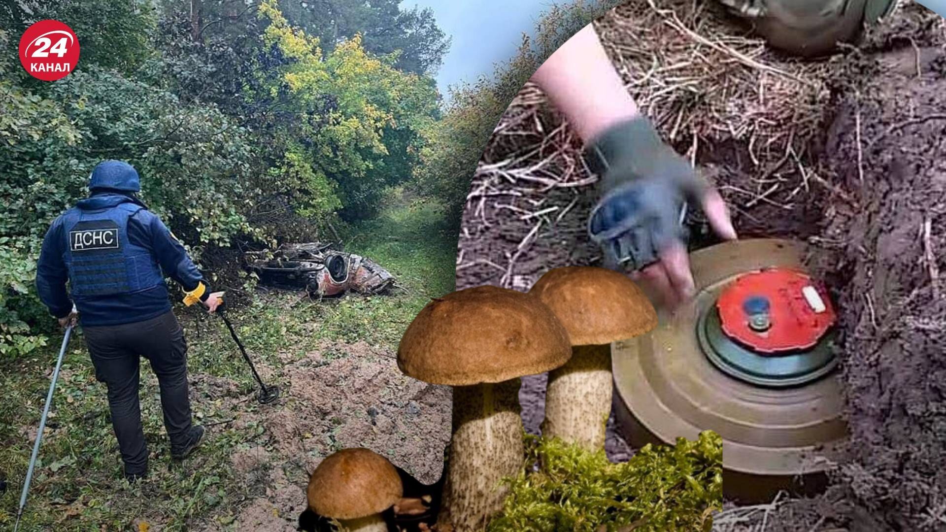 4 грибника взорвались на вражеской мини в лесу на Черниговщине 4 грибника взорвались на вражеской мини в лесу на Черниговщине