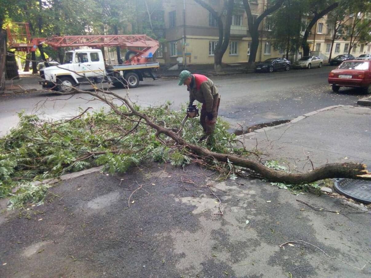 Негода в Україні 2 жовтня - в Одесі попадали дерева, а Харків затопило - фото і відео