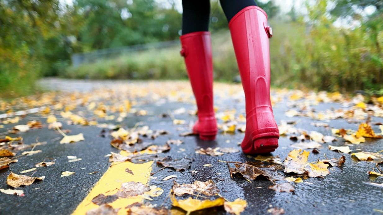 В Україні 4 жовтня буде холодна погода з дощем - прогноз погоди в Україні на вівторок - 24 Канал В Україні 4 жовтня буде холодна погода з дощем - прогноз погоди в Україні на вівторок - 24 Канал