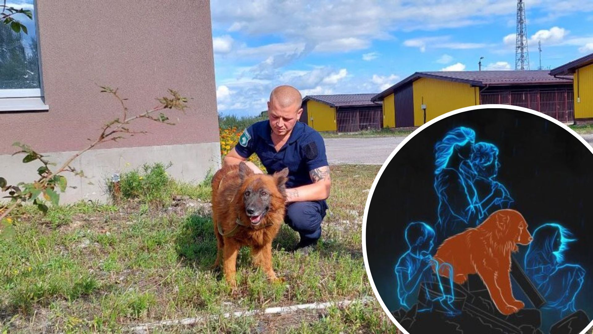 Собака Крим - у якому стані пес, який плакав на руїнах будинку у Дніпрі