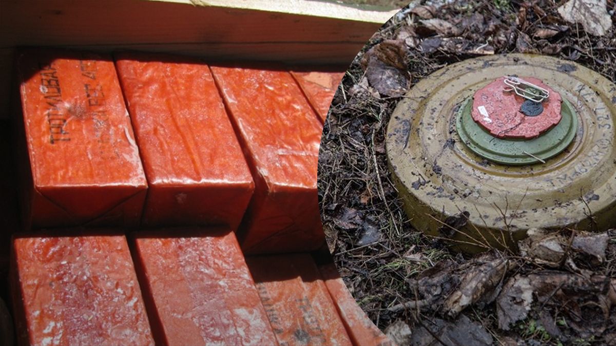 Оккупанты спрятали возле дамбы в Харьковской области тротил и противотанковые мины Оккупанты спрятали возле дамбы в Харьковской области тротил и противотанковые мины