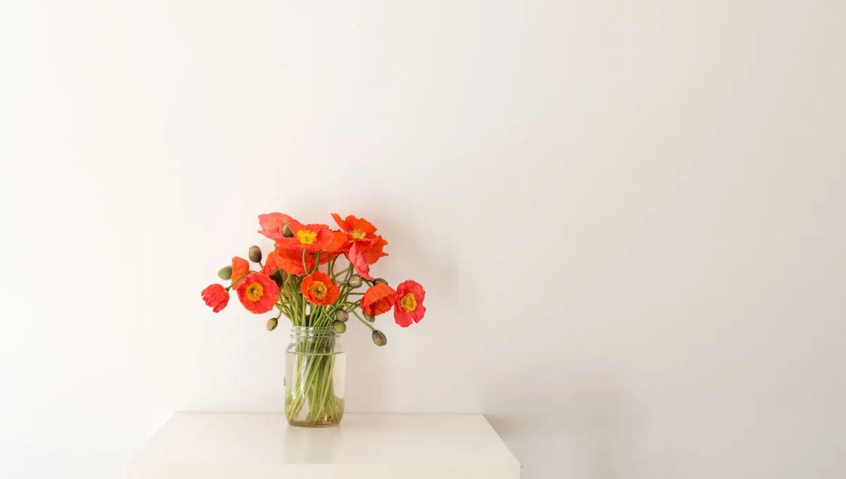 Привітання з днем народження для мами Привітання з днем народження для мами