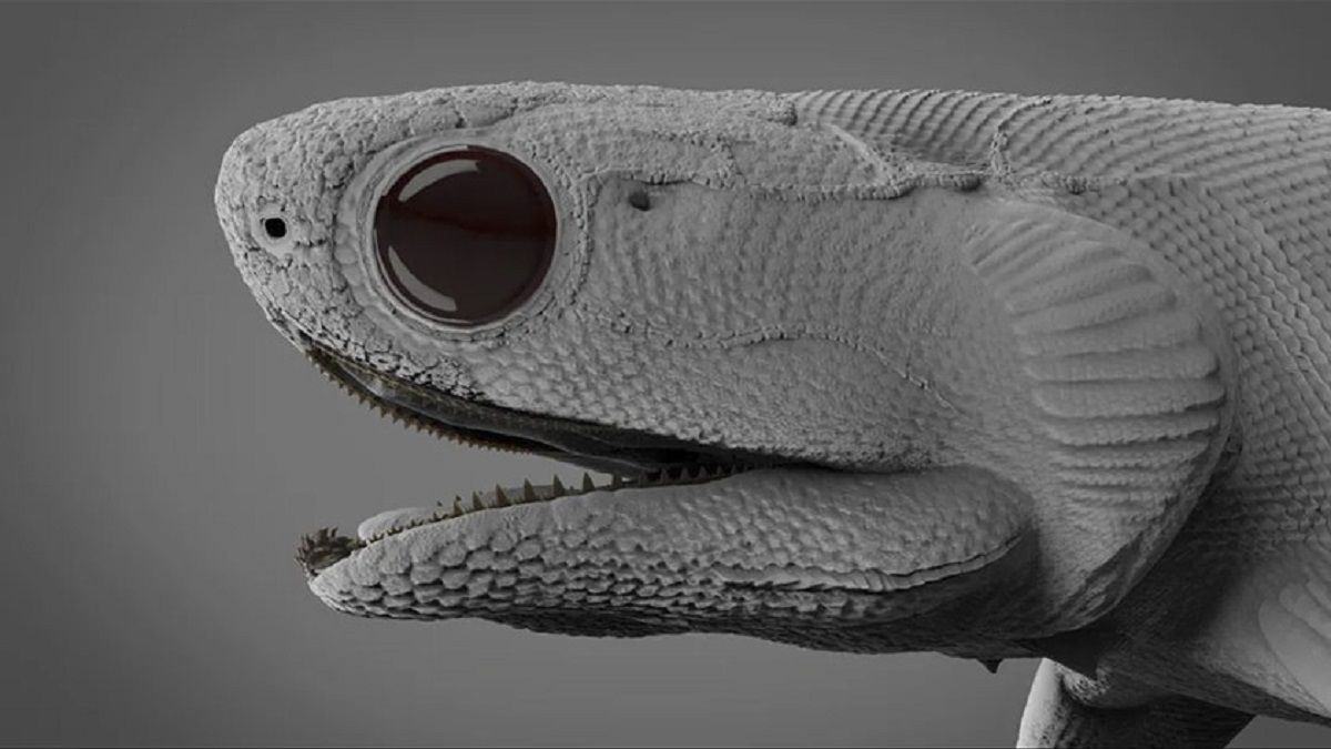 Реконструкція голови цяньодуса Реконструкція голови цяньодуса