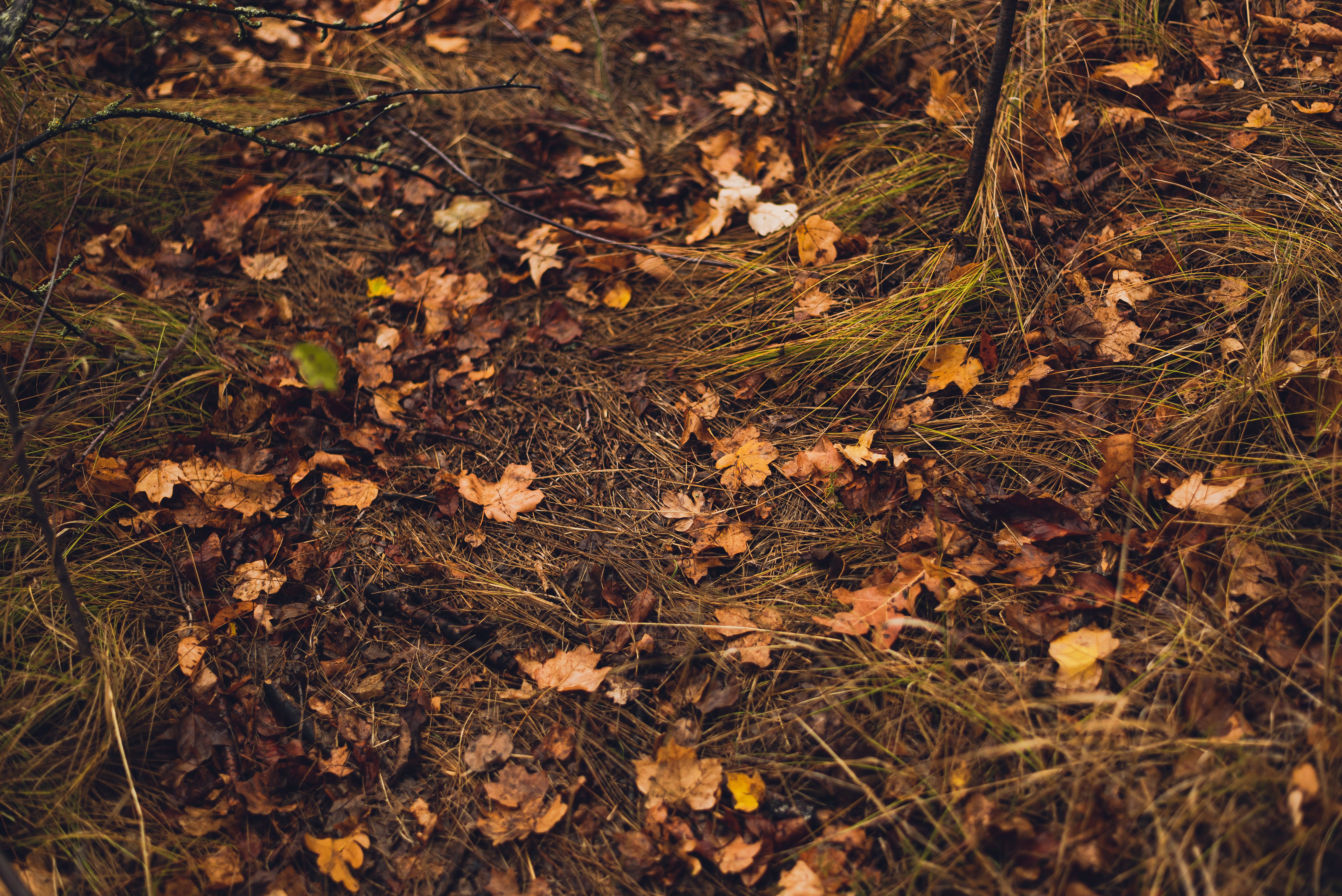 Погода в Украине - в 2 областях прогнозируют сухой месяц, дождя практически не будет Погода в Украине - в 2 областях прогнозируют сухой месяц, дождя практически не будет