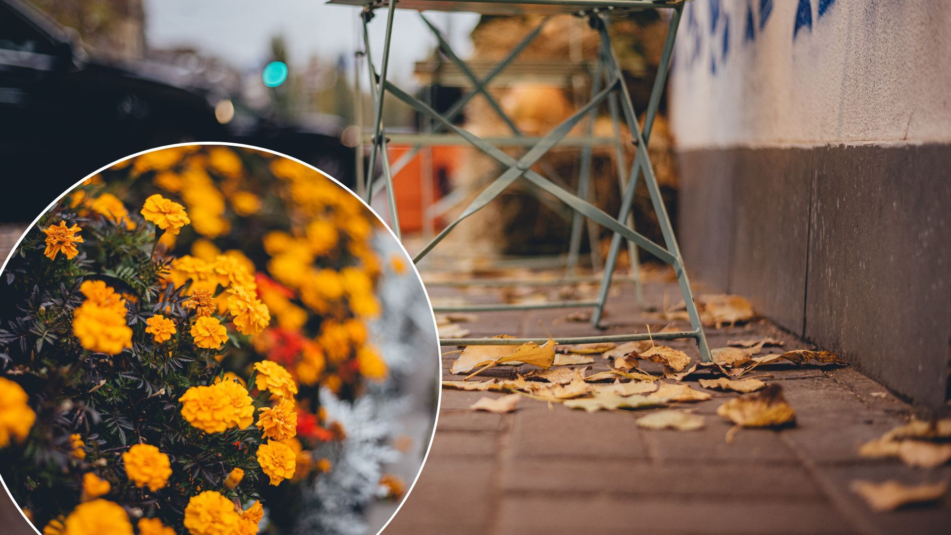 Прогноз погоди в Україні на 7 жовтня - що кажуть синоптики Прогноз погоди в Україні на 7 жовтня - що кажуть синоптики