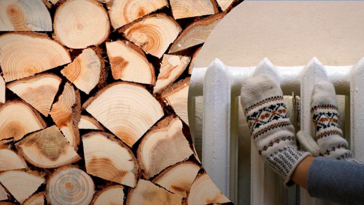 Жители прилегающих к зоне боевых действий территорий могут получить дрова Жители прилегающих к зоне боевых действий территорий могут получить дрова