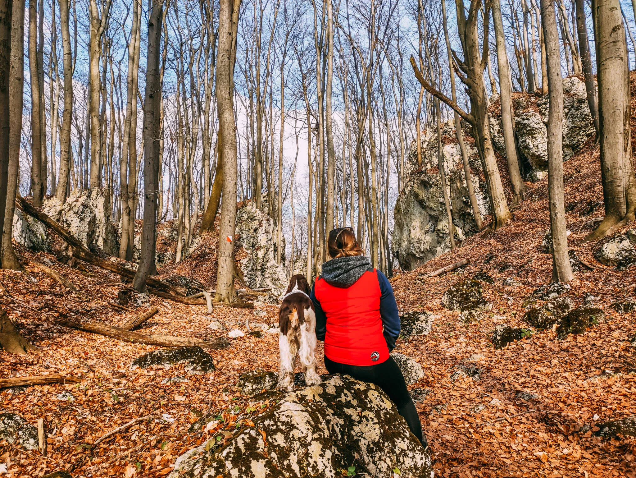 Природный заповедник Природный заповедник