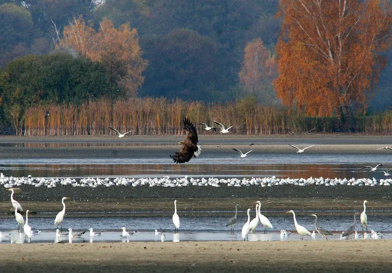 Барическая долина Барическая долина