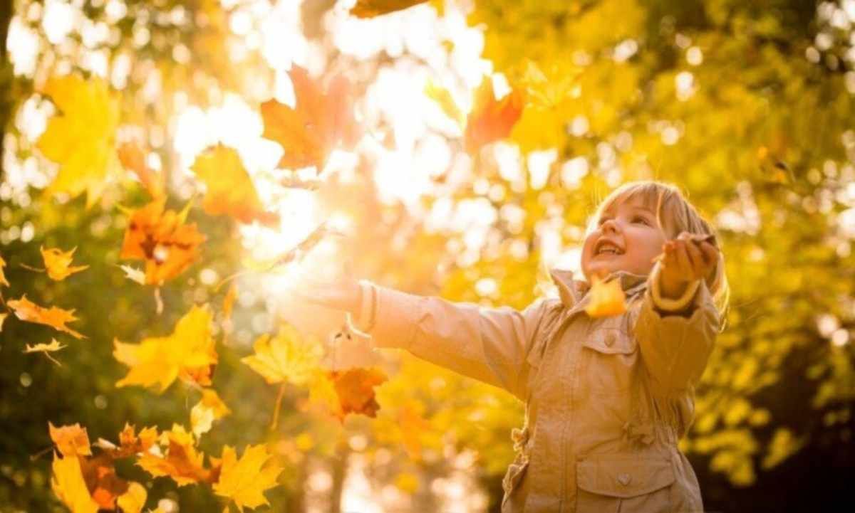 Пануватиме "бабине літо", але на Півночі – дощі: прогноз погоди в Україні на 9 жовтня - 24 Канал Пануватиме "бабине літо", але на Півночі – дощі: прогноз погоди в Україні на 9 жовтня - 24 Канал