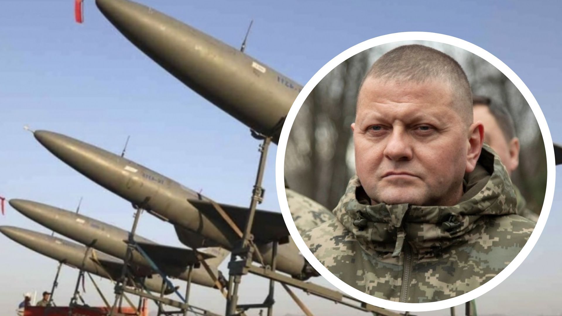 Залужный о помощи поляков Залужный о помощи поляков