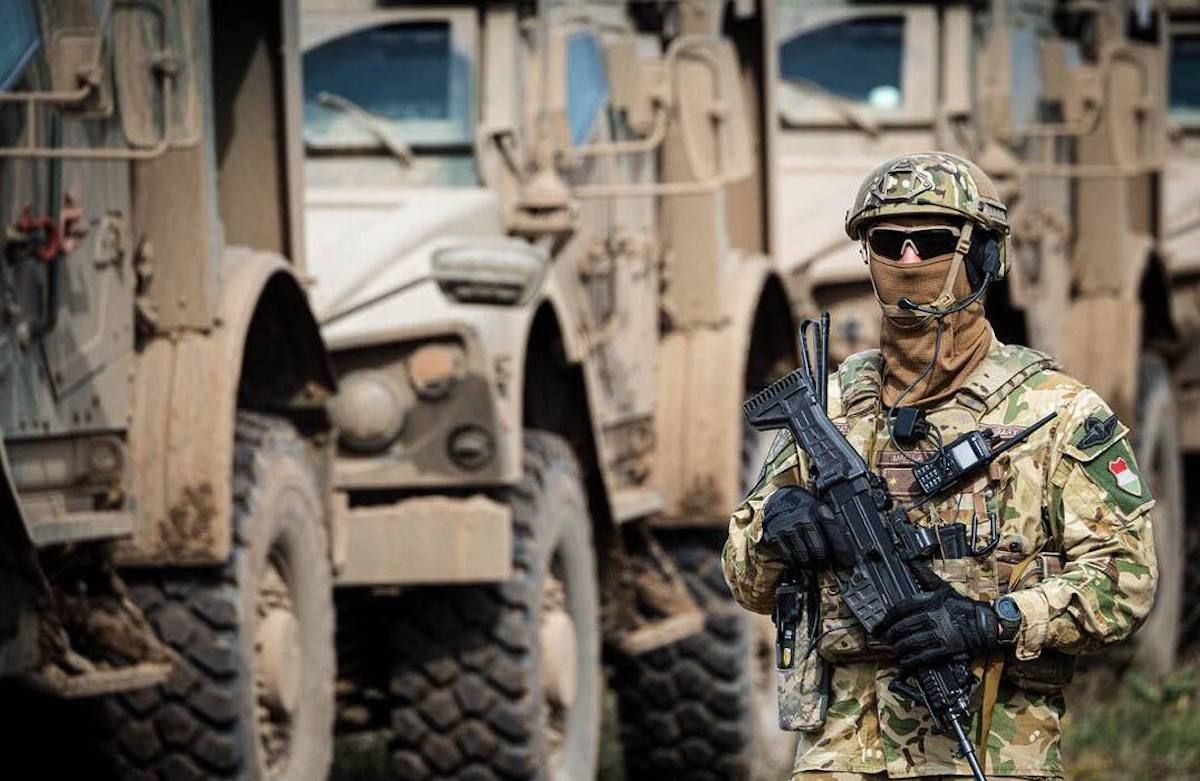 Для чего Венгрия модернизирует свое войско Для чего Венгрия модернизирует свое войско