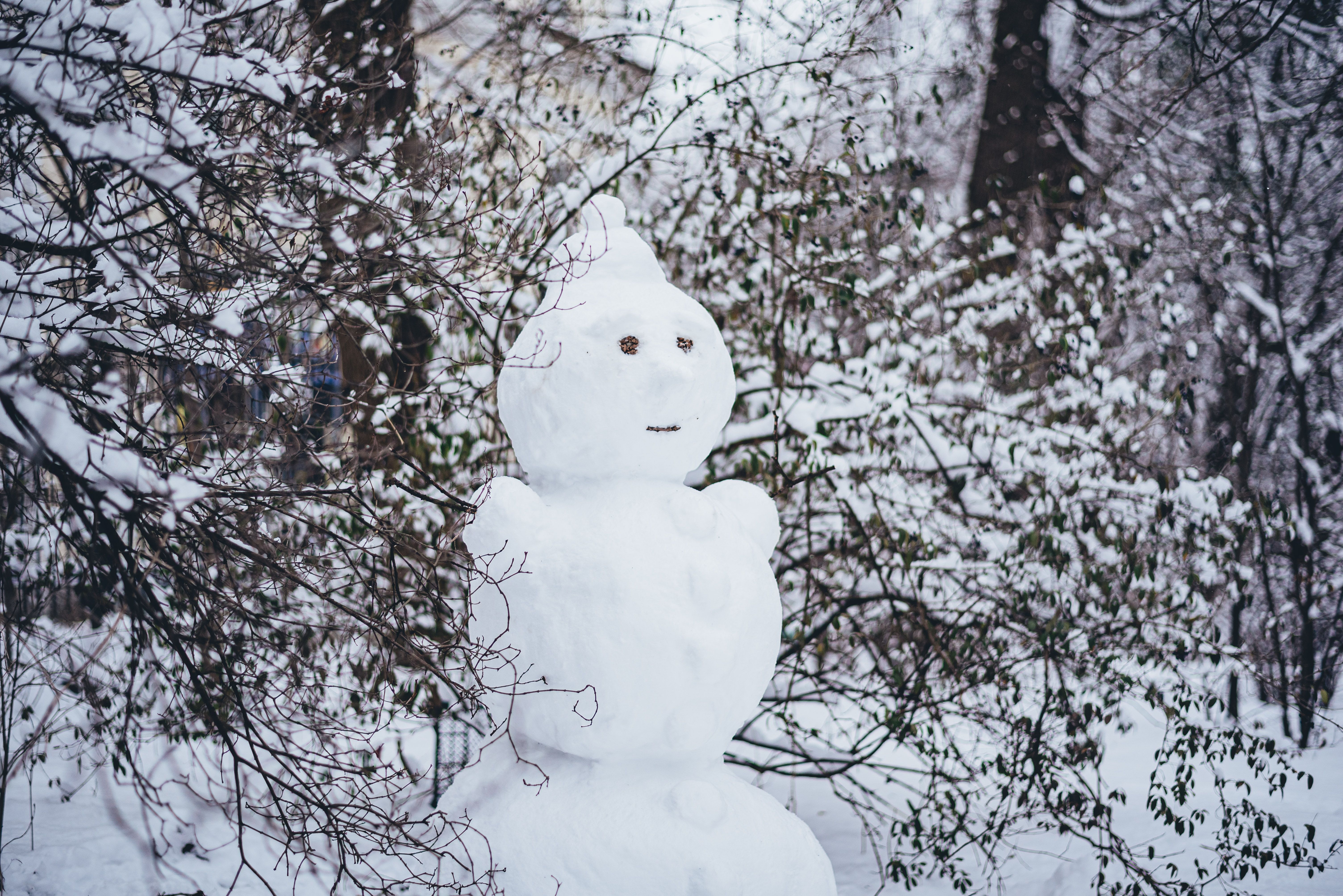 Погода в Україні - коли прийдуть морози та снігопади Погода в Україні - коли прийдуть морози та снігопади