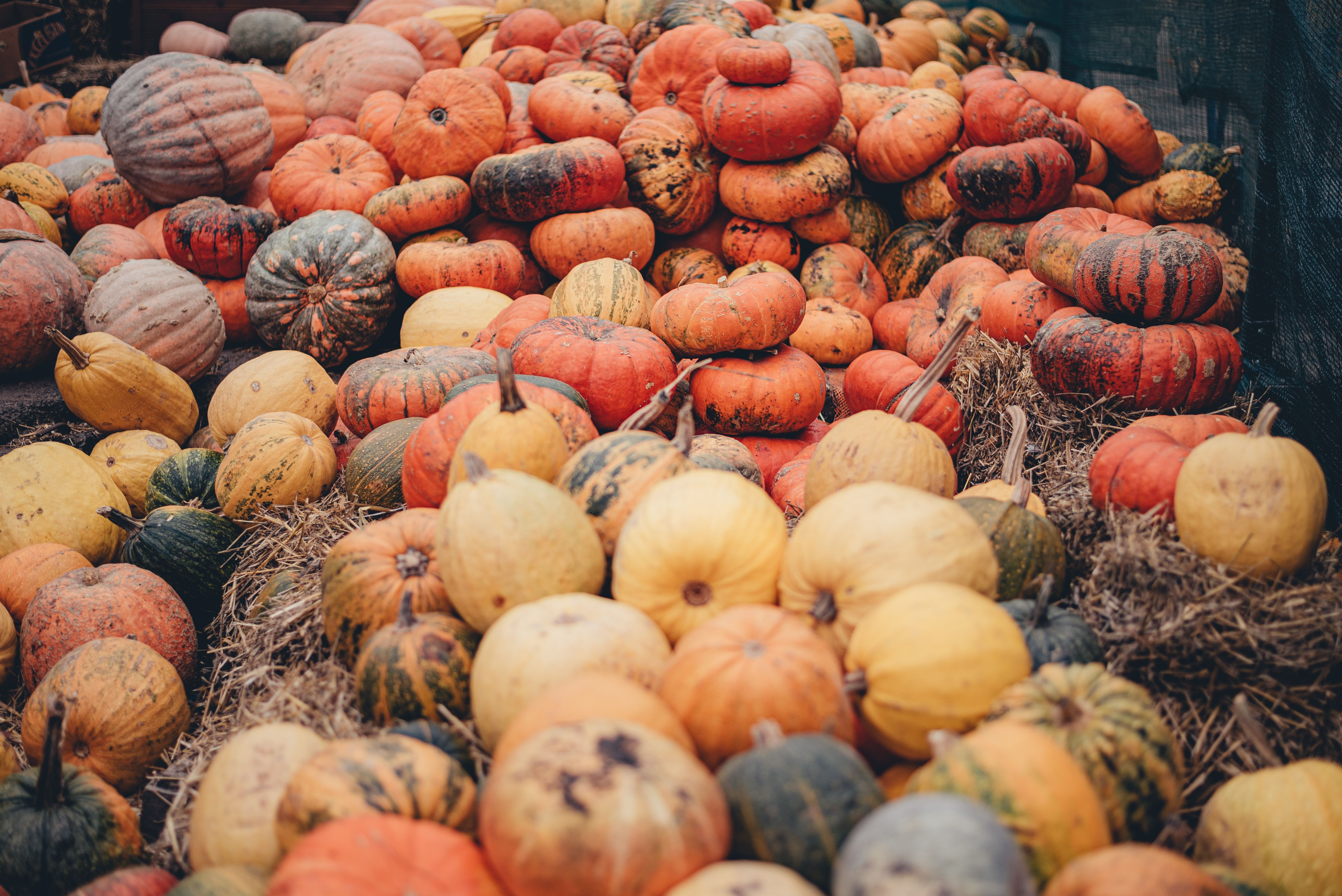 Погода в Україні - на Заході цілий тиждень пануватиме тепла погода і +20 градусів Погода в Україні - на Заході цілий тиждень пануватиме тепла погода і +20 градусів
