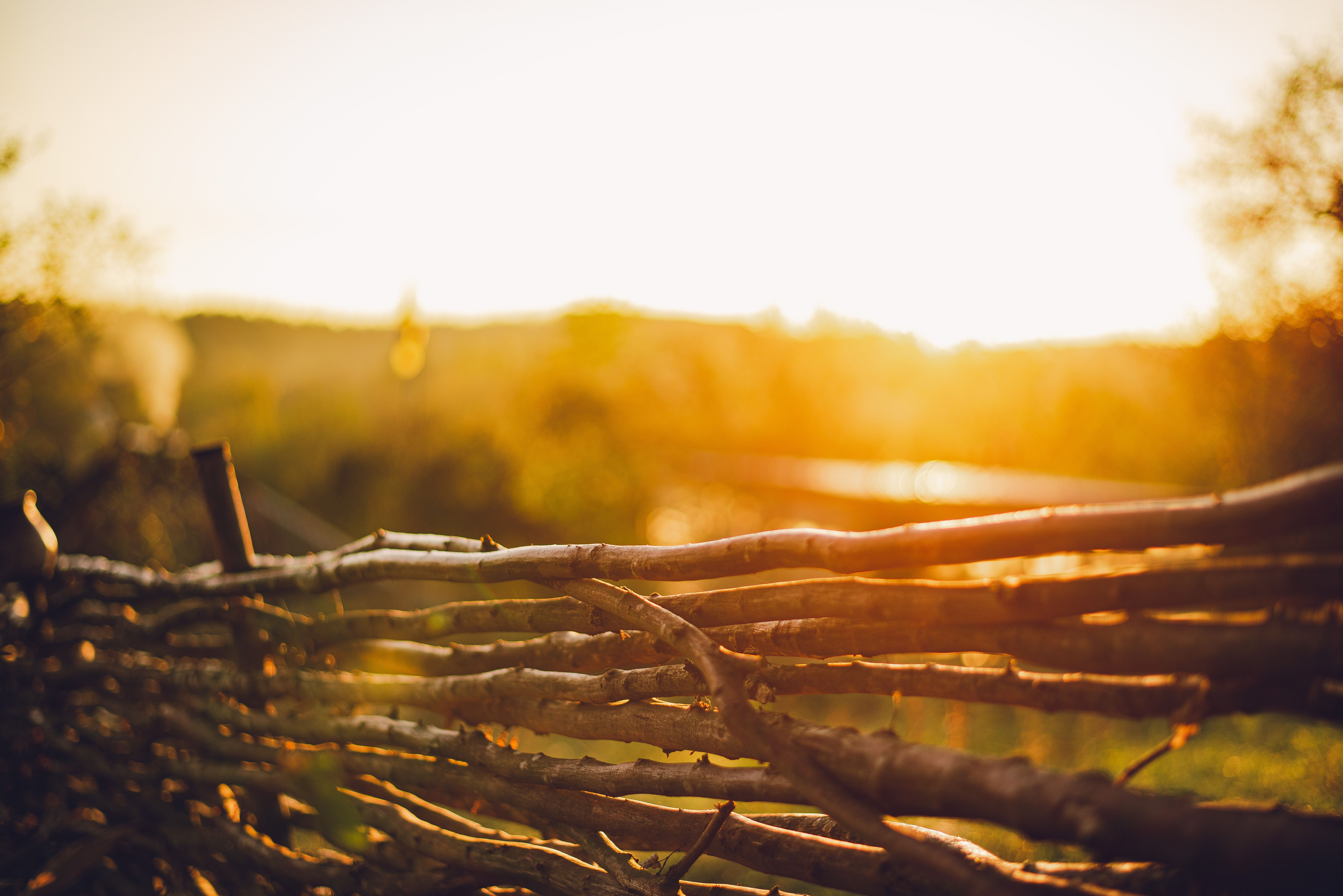 Погода в Україні в другій половині осені буде теплою - чи чекати морози Погода в Україні в другій половині осені буде теплою - чи чекати морози