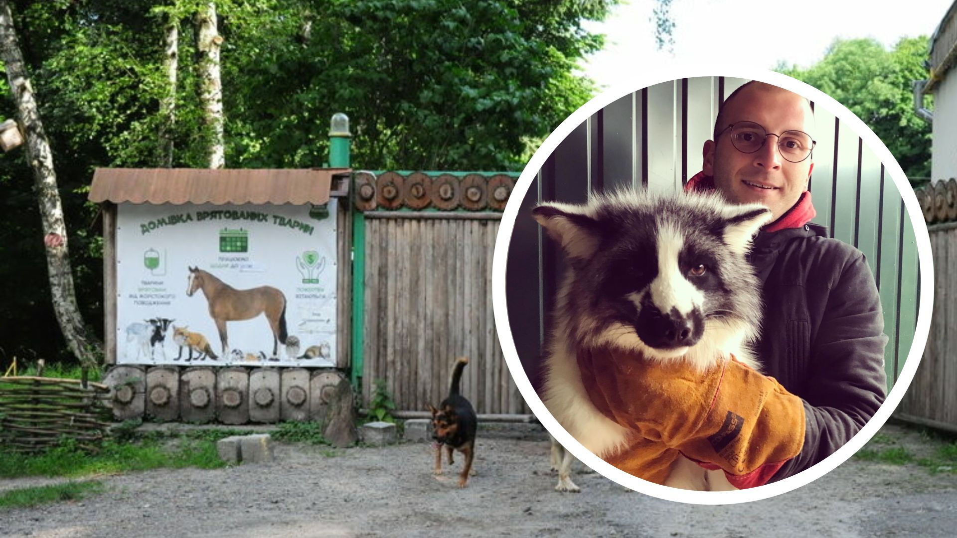 Залипский о спасении животных Залипский о спасении животных