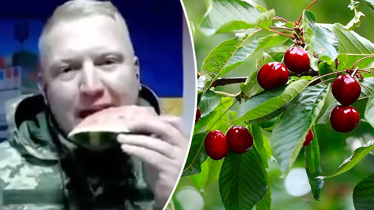 Федоров готовий пригостити окупантів черешнею Федоров готовий пригостити окупантів черешнею