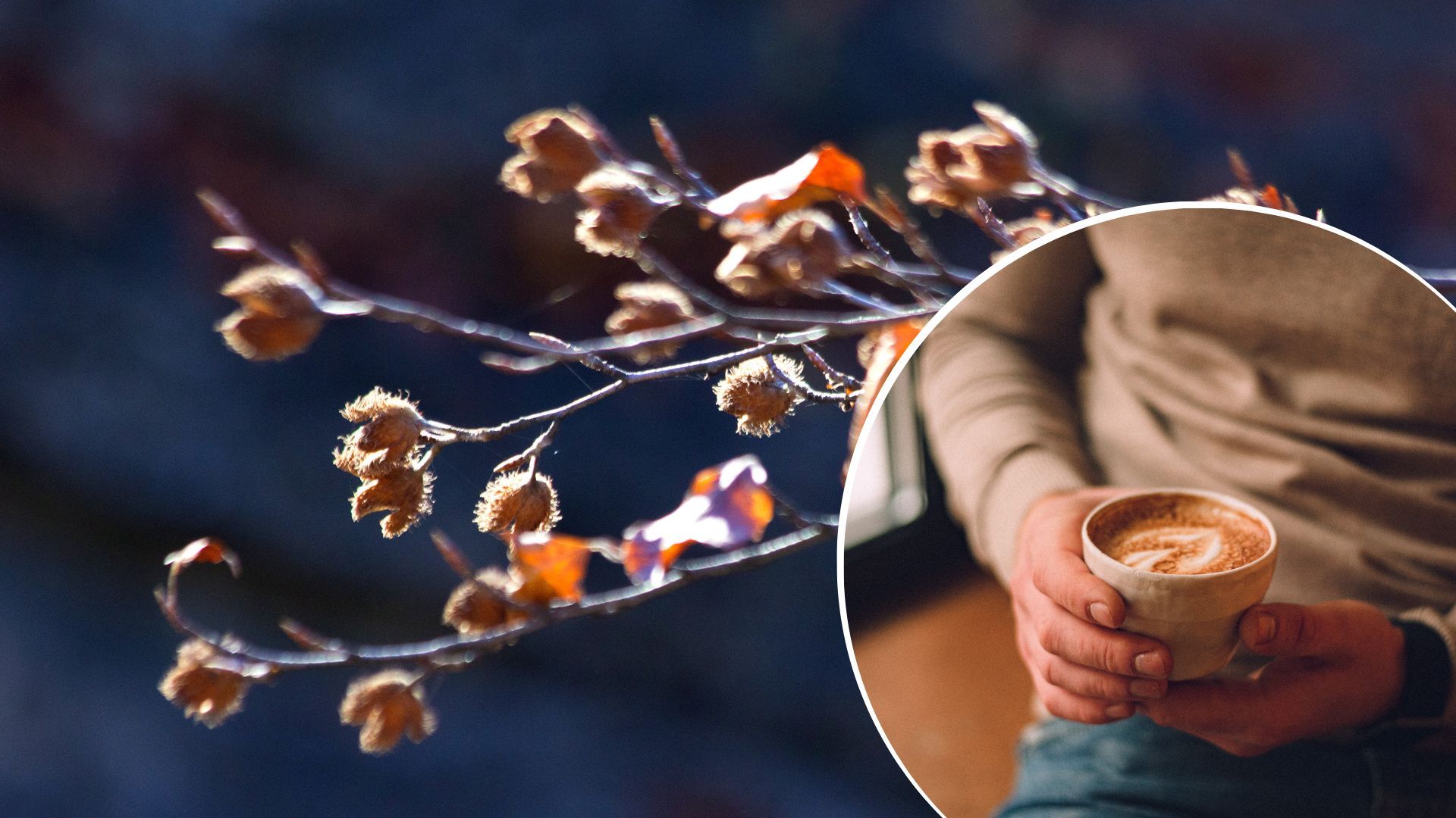 Погода в Украине - синоптикиня предупредила о резком похолодании Погода в Украине - синоптикиня предупредила о резком похолодании