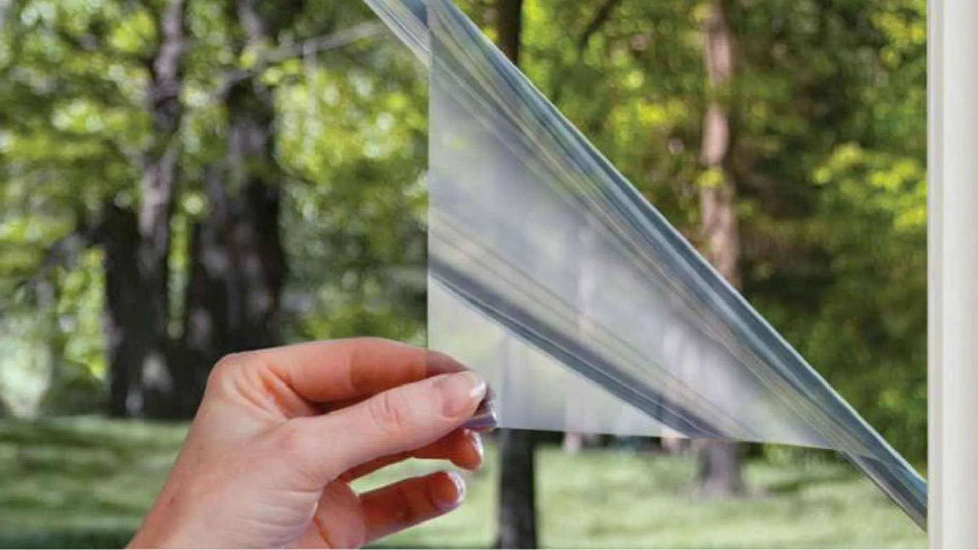 Пленка на окна Пленка на окна