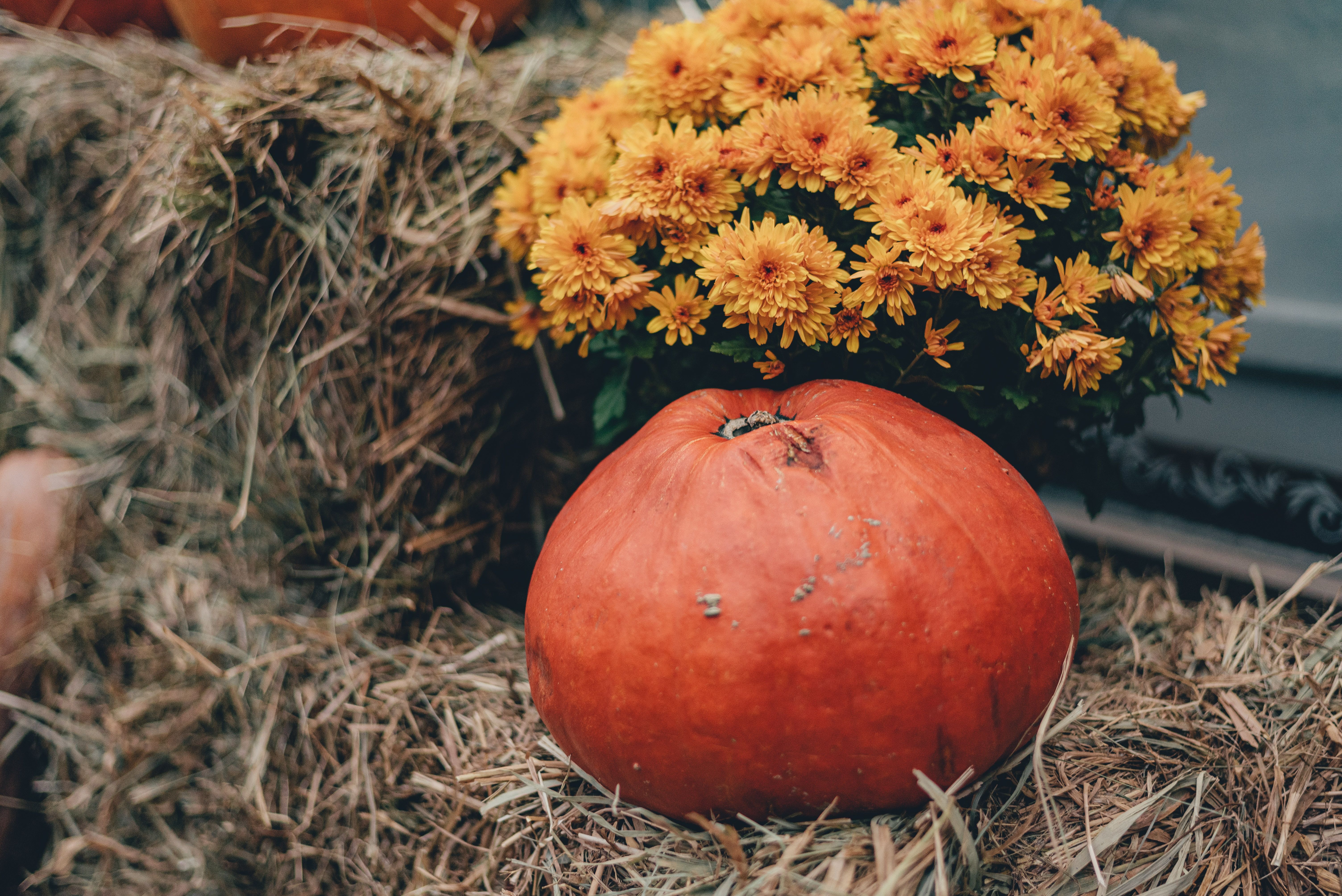 Прогноз погоди в Україні на 18 жовтня - яку погоду обіцяють синоптики Прогноз погоди в Україні на 18 жовтня - яку погоду обіцяють синоптики