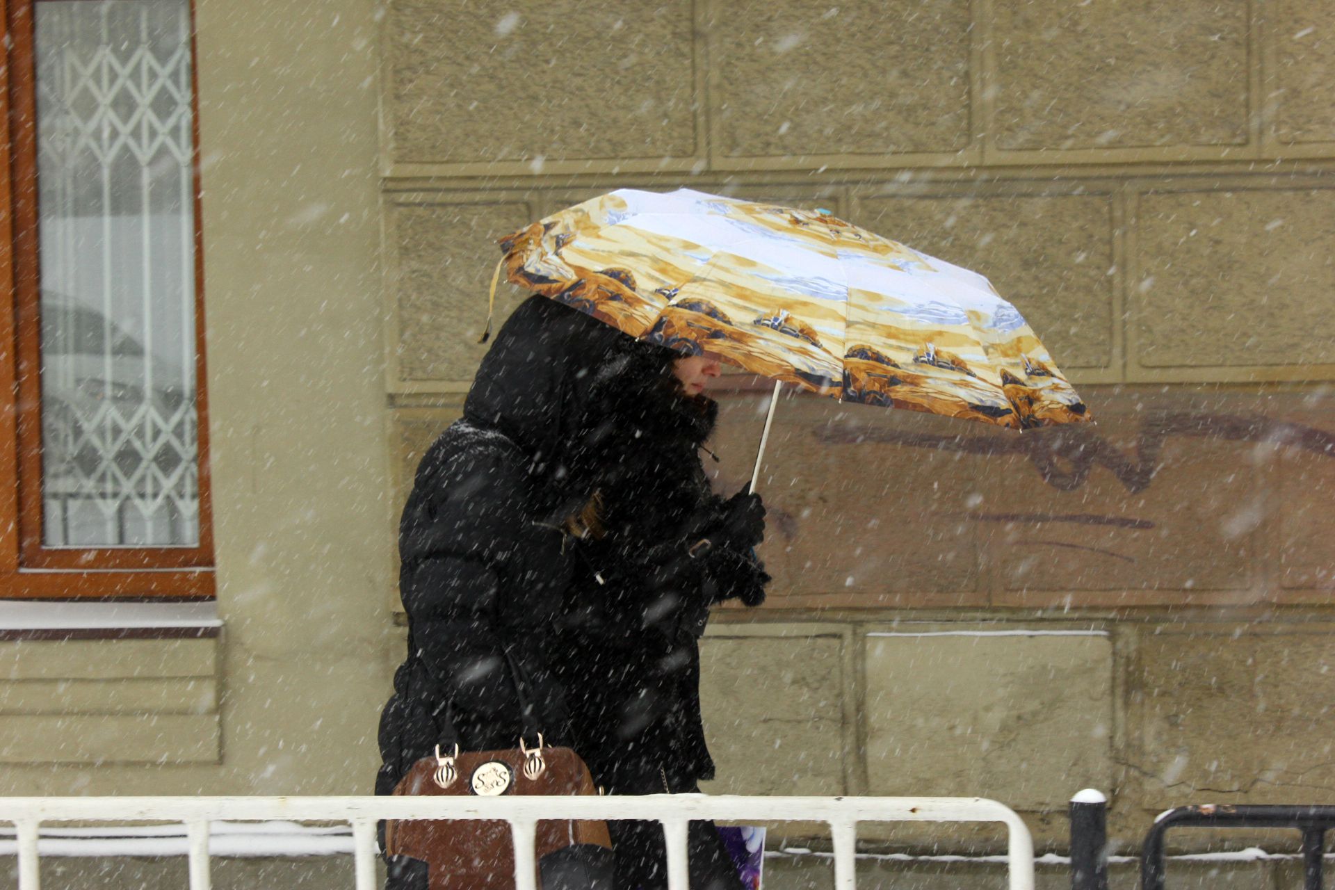 Погода в Украине – сунет циклон, который принесет снег, морозы и ветры Погода в Украине – сунет циклон, который принесет снег, морозы и ветры