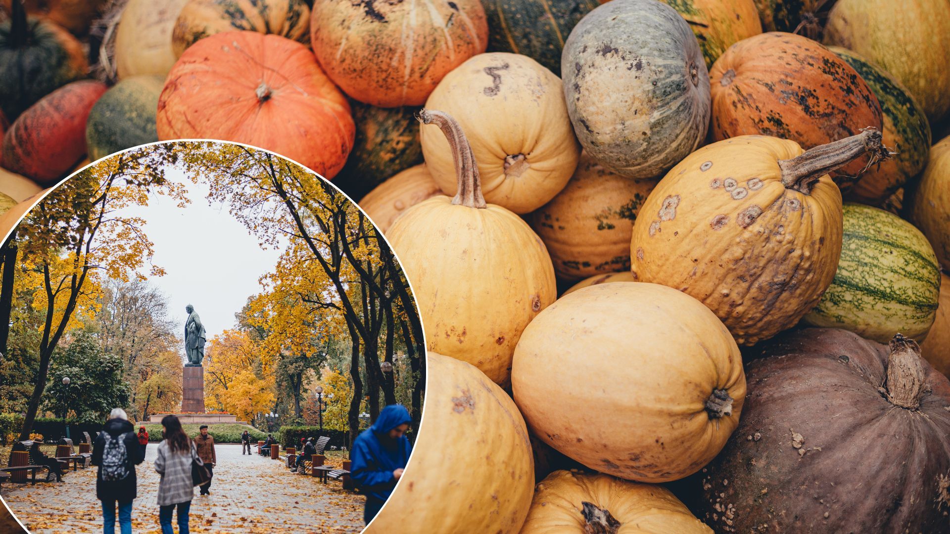 Погода в Украине до конца октября будет теплой, но возможно кратковременное похолодание. Погода в Украине до конца октября будет теплой, но возможно кратковременное похолодание.