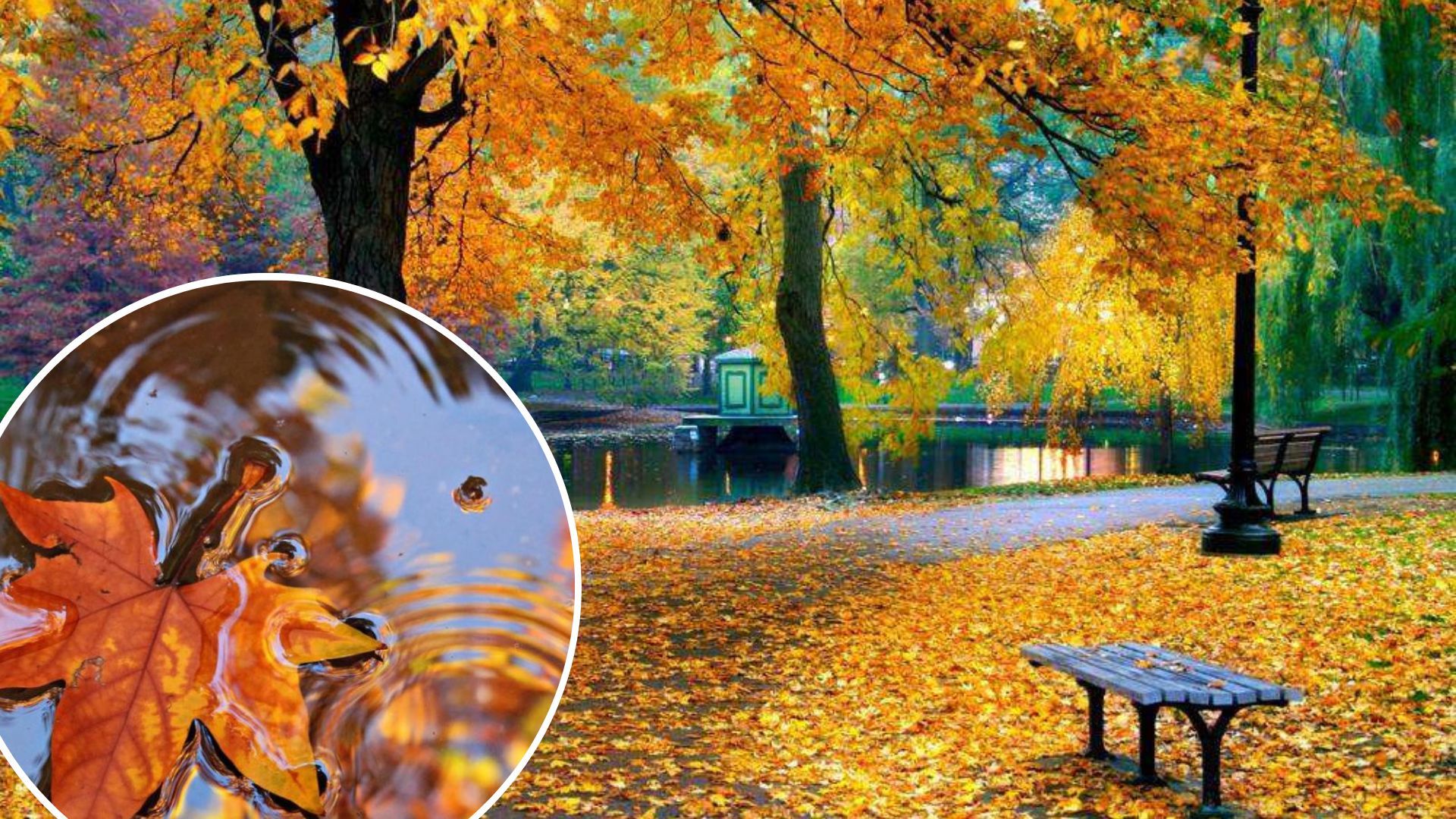 Погода в Украине – в ноябре в нескольких городах не будет дождя, а +18 градусов Погода в Украине – в ноябре в нескольких городах не будет дождя, а +18 градусов