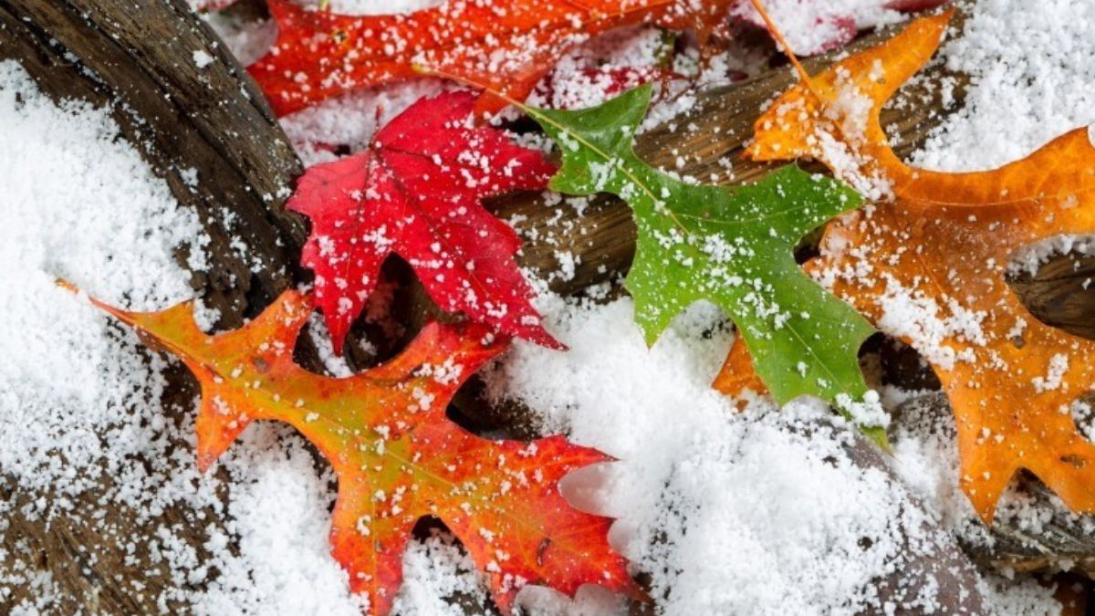 Погода в Україні на 20 жовтня Погода в Україні на 20 жовтня