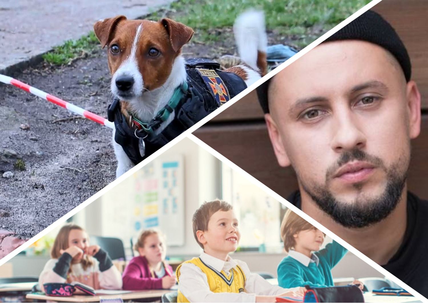 Пес Патрон та Монатік проведуть спеціальний урок для школярів - мінна безпека - 24 канал - Освіта Пес Патрон та Монатік проведуть спеціальний урок для школярів - мінна безпека - 24 канал - Освіта