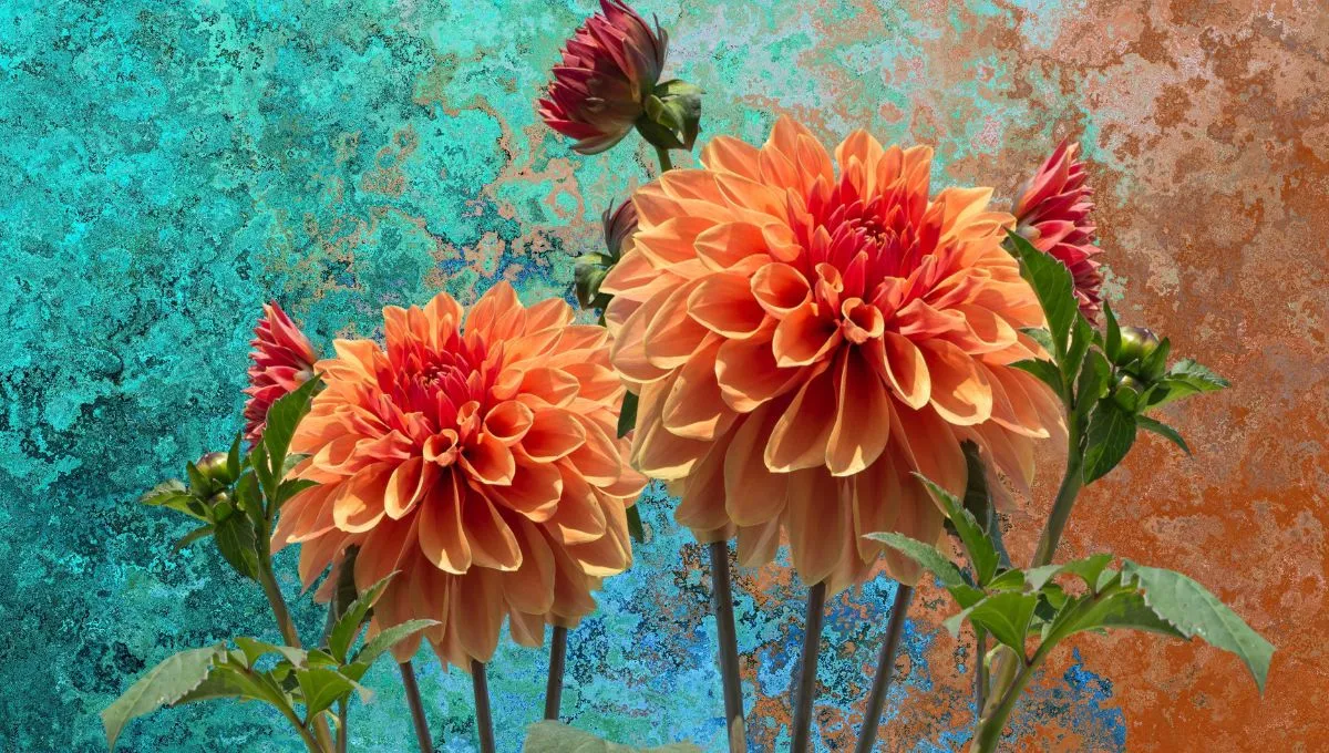 Іменини у листопаді Іменини у листопаді