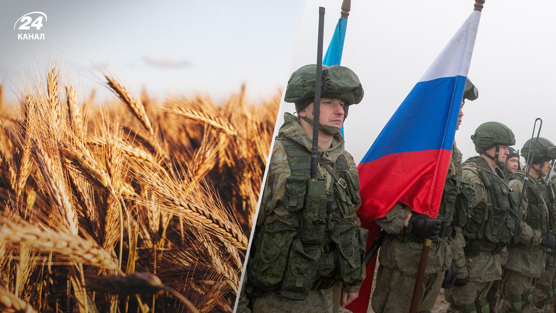 Россия может заработать на украденном украинском зерне 600 миллионов долларов
