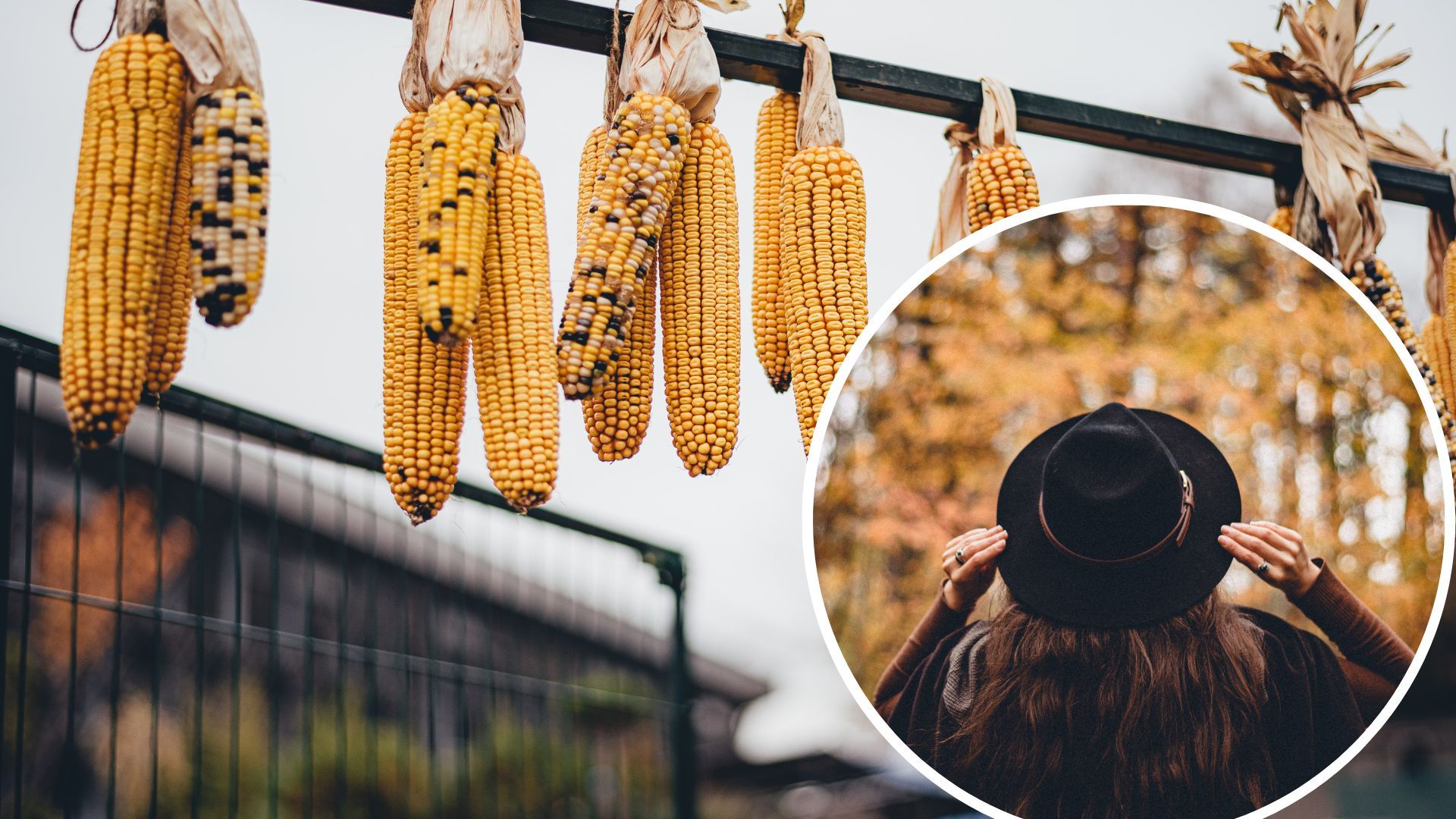 Погода в Украине - ждать ли сильного похолодания в ближайшее время Погода в Украине - ждать ли сильного похолодания в ближайшее время