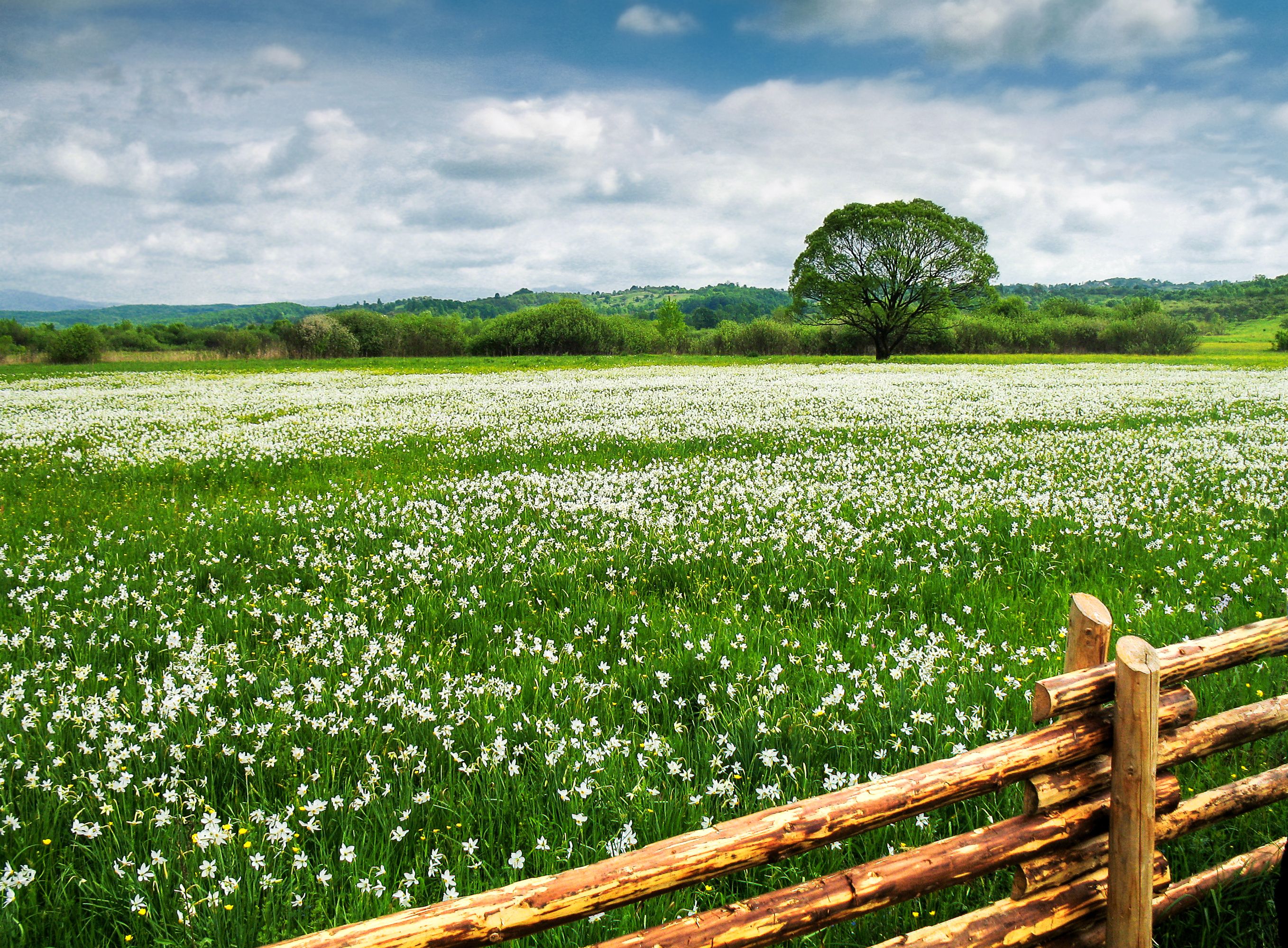 Погода в Украине летом 2023 - будет ли лето жарким - прогноз от Кульбиды Погода в Украине летом 2023 - будет ли лето жарким - прогноз от Кульбиды