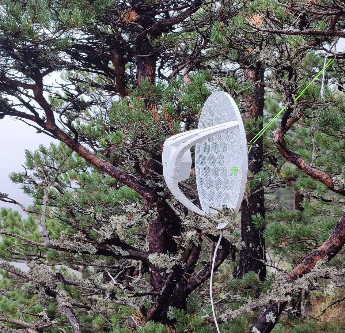 россиянин скрывается от мобилизации в лесу россиянин скрывается от мобилизации в лесу