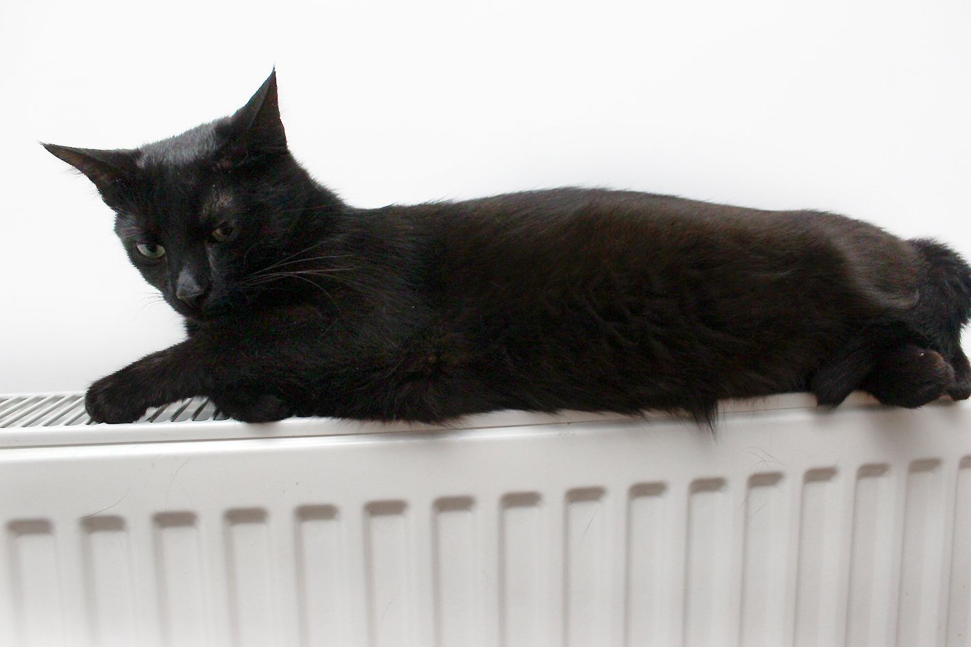 У Чернігові почався опалювальний сезон У Чернігові почався опалювальний сезон