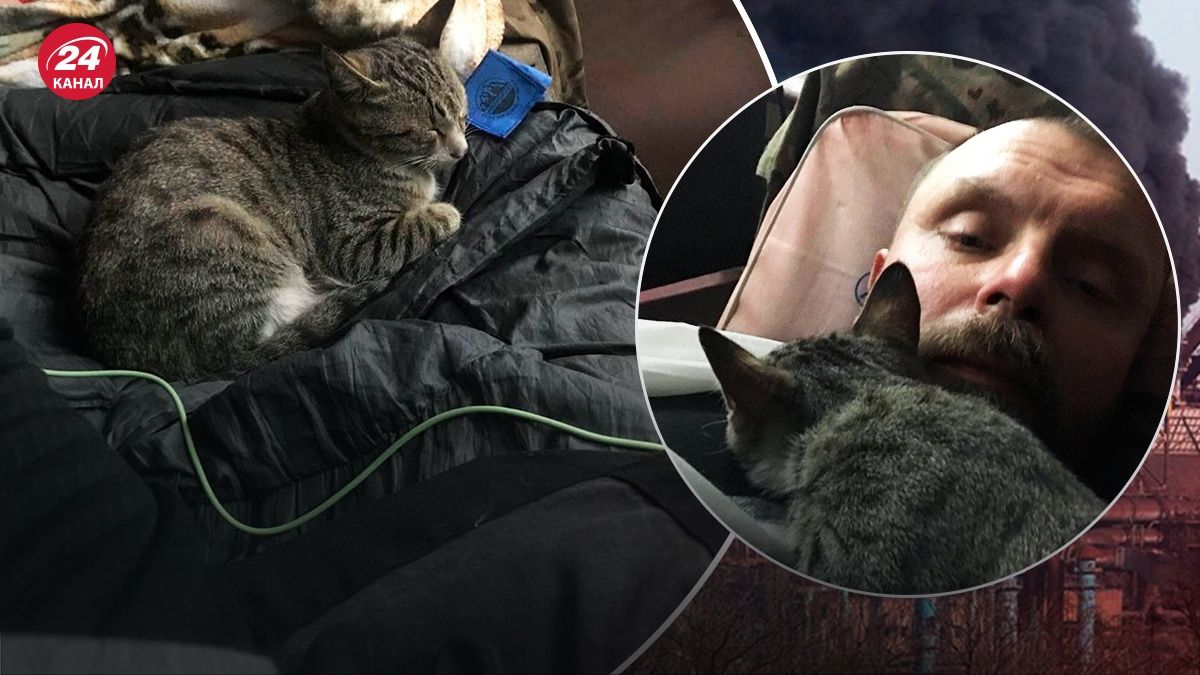 Защитник Вершинин показал котика Кипиша - 24 Канал Защитник Вершинин показал котика Кипиша - 24 Канал