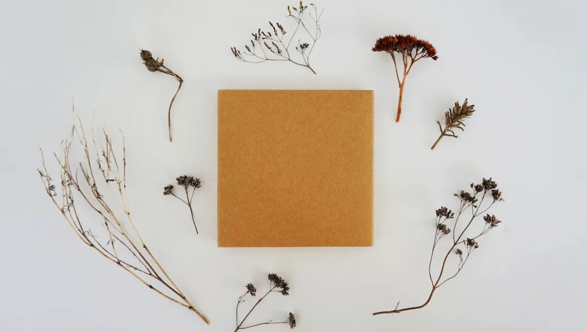 Интересный список дел на осень Интересный список дел на осень