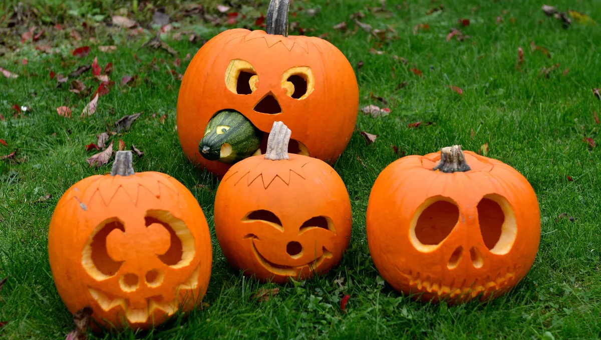 Как сделать тыкву на Геловин Как сделать тыкву на Геловин