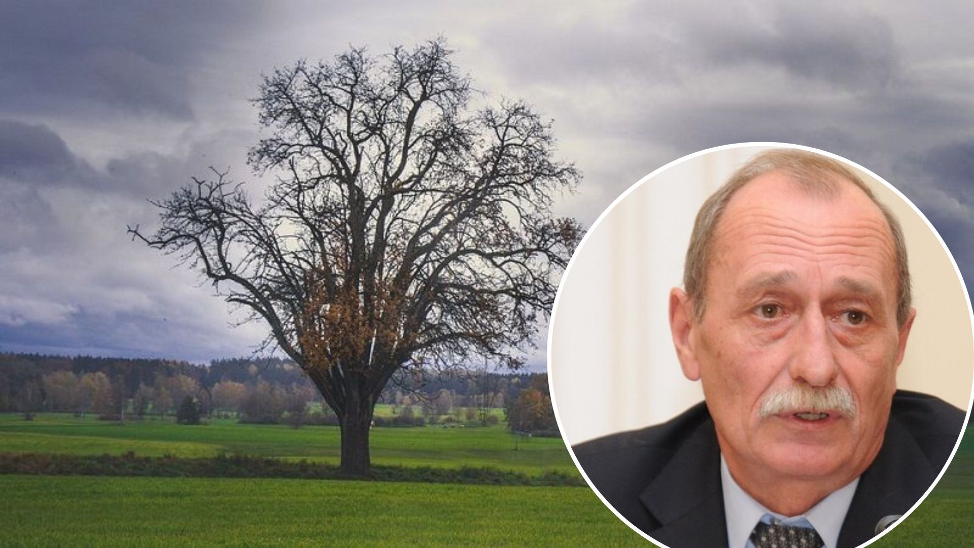 Погода в Украине - на сколько точные прогнозы рассказал синоптик Погода в Украине - на сколько точные прогнозы рассказал синоптик