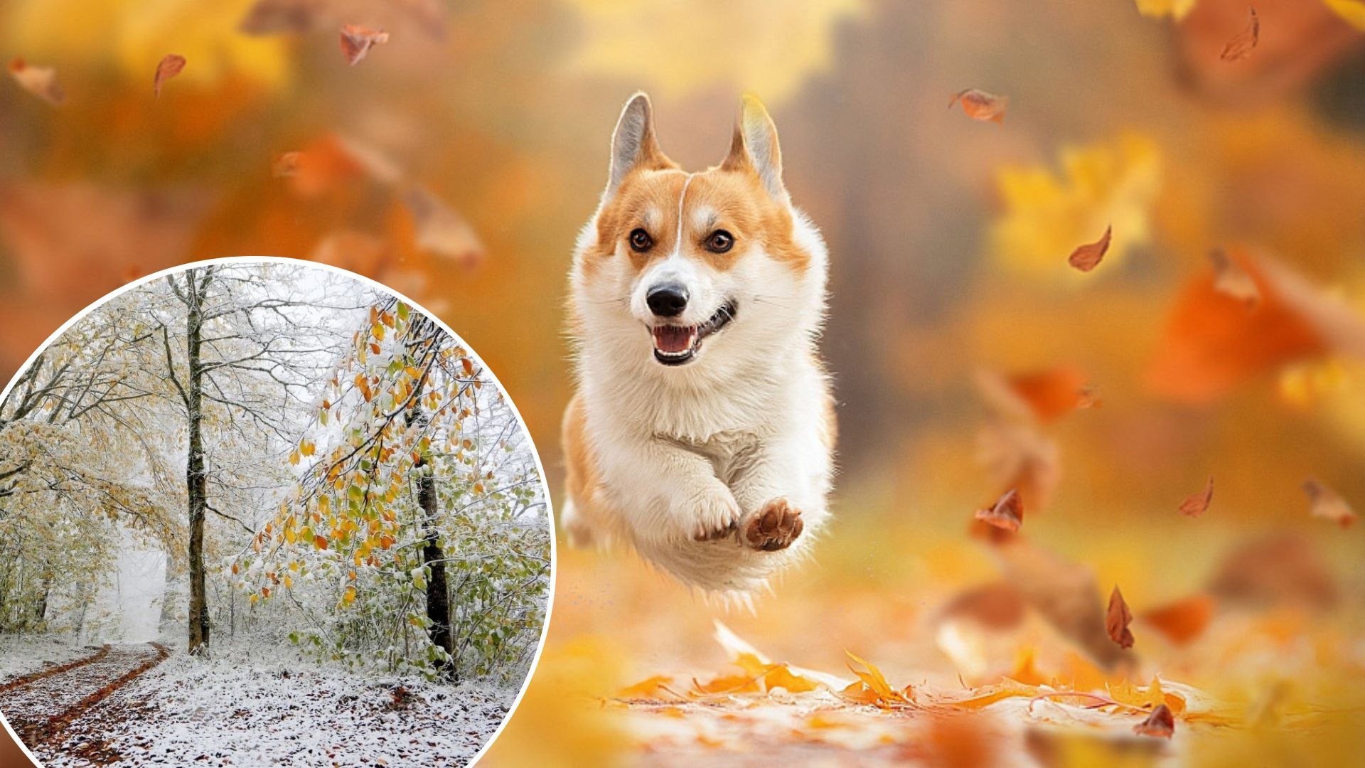 Погода у листопаді 2022 в Україні - що прогнозують синоптики Погода у листопаді 2022 в Україні - що прогнозують синоптики