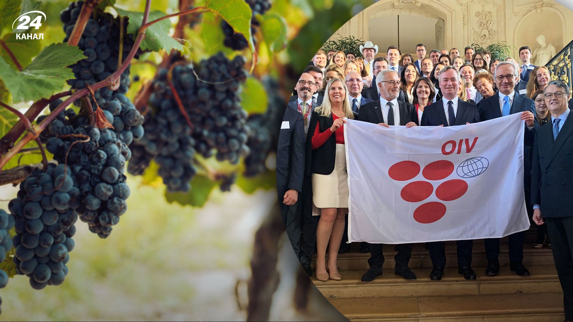 Украина возобновляет членство в Международной организации виноградарства и виноделия