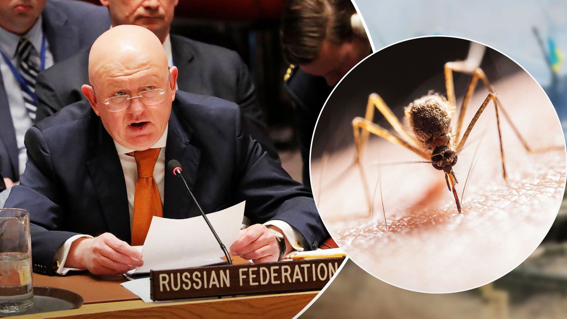 Росія на Радбезі ООН розповіла фейки про біологічну зброю України - 24 Канал