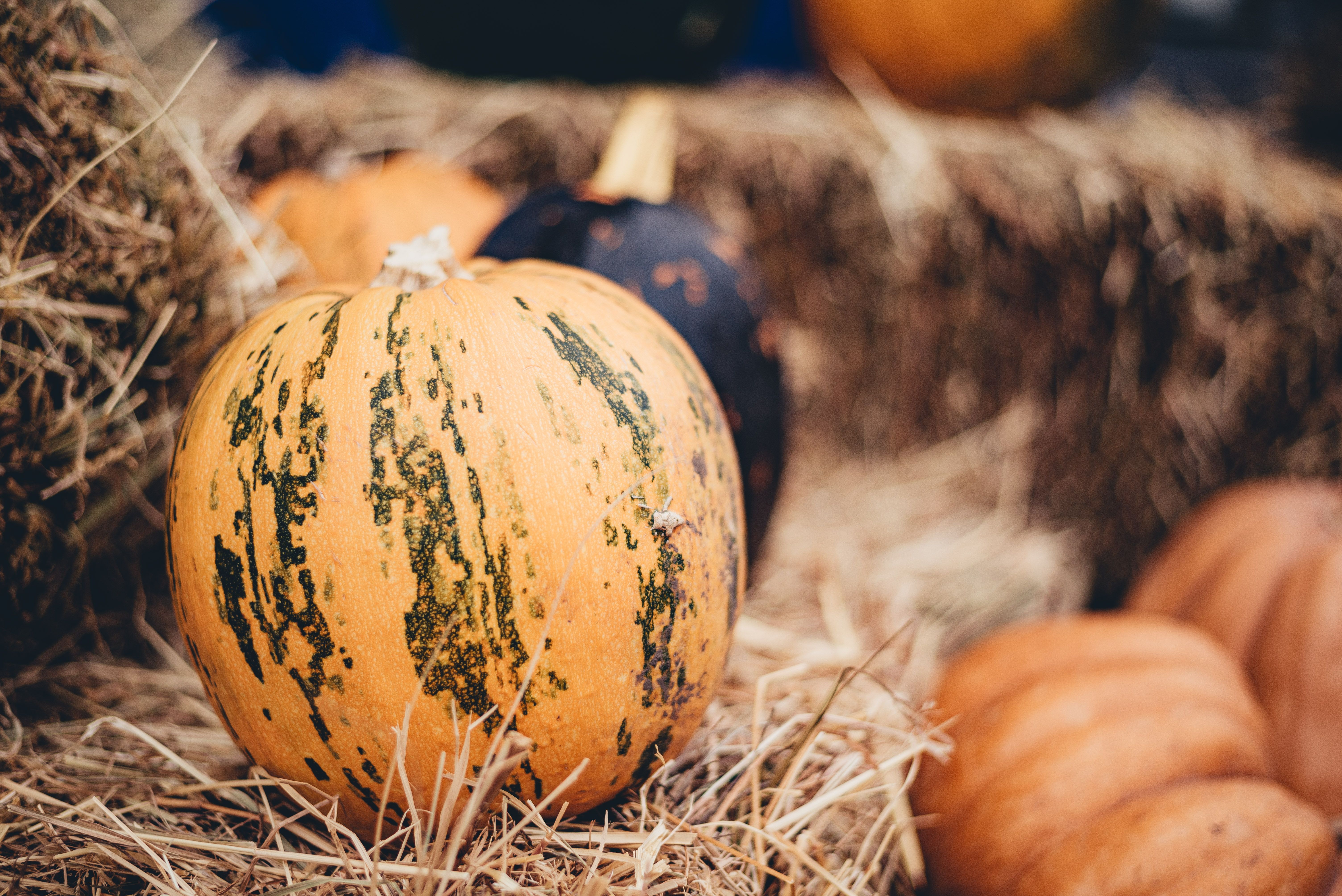 Погода в Украине 29 октября – прогноз от синоптиков Погода в Украине 29 октября – прогноз от синоптиков