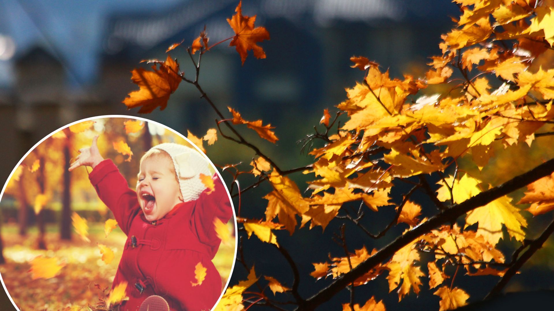 Погода в Україні сильно потепліє в кінці жовтня - синоптики обіцяють +21 градус Погода в Україні сильно потепліє в кінці жовтня - синоптики обіцяють +21 градус