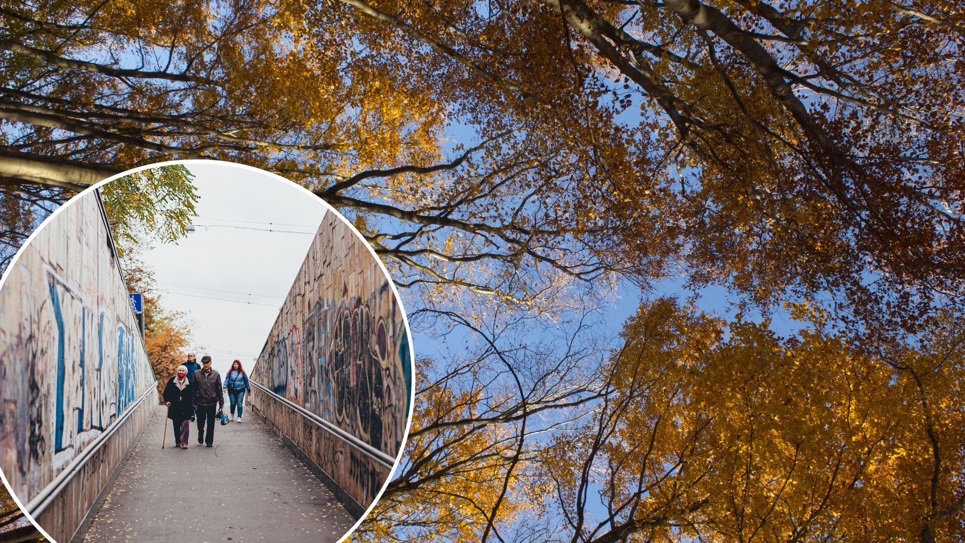 Погода в Украине – когда придет окончательное похолодание – прогноз народного синоптика Погода в Украине – когда придет окончательное похолодание – прогноз народного синоптика